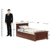 Monarch Solid Wood Single Size Drawer Storage Bed in Teak Finish