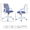 Xeanea Mid Back Ergonomic Chair in Blue Colour