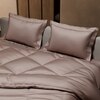 Stoa Paris Comforter Set Double Bed, 300TC Satin Double Bed Comforters in Champa Champagne