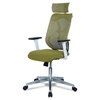 Wiweangs High Back Ergonomic Chair in Pearl Green Colour