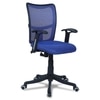 Eexcaeal Mid Back Ergonomic Chair in Blue Colour
