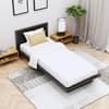 Hexa Engineered Wood Modern Single Bed With Headboard Without Storage In Flower Wenge
