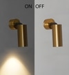 Ortega 12-Watt Outdoor Adjustable Wall Light In Brass Finish