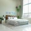 Chestnut Engineered Wood Queen Size Bed In White Finish