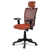 Jeaorda High Back Ergonomic Chair in Orange Colour