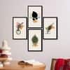 The Castle Decor Boho Abstract Botanical Wall Art Set of 4 Design 3 11x17 Inch