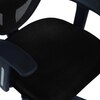 Aaeroa Low Back Ergonomic Chair in Black Colour
