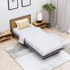 Hexa Engineered Wood Modern Single Bed With Headboard Without Storage In Slate Grey And Giant Wood
