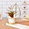 Red And Green Artificial Plant With White And Gold Ceramic Pot