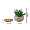 Artificial Fern Plant In A Patterned Ceramic Pot With A Wooden Plate