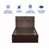 Takeo Engineered Wood Single  Size Bed With Box Storage (Walnut Finish)