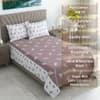 White And Plum Shade Floral  Cotton 400 Tc  Flat  Single Bed Size Bedsheet With 2 Pillow Covers