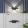 Prive 2 Light Flush Wall Picture Light In Black, Brass & Frosted White Finish