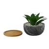 Artificial Aloe Vera Plant In A Patterned Ceramic Pot With A Wooden Plate