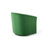 Accentrin Solid Wood Accent Chair in Green Colour
