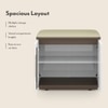 Baltoro Engineered Wood Shoe Rack with Seating in White Finish
