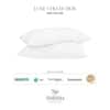 Luxe High Firm Duck Down Pillow 50 X 90 cm