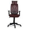 Zeeazyana High Back Ergonomic Chair in Brown Colour
