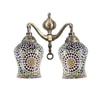 Devansh Metal Electric Wall Light in Multi Colour with Multi Shade Count of 2 Lights