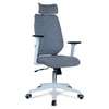 Ssilae High Back Ergonomic Chair in Grey Colour