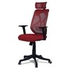 Zeeazyana High Back Ergonomic Chair in Red Colour