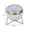 Apple Planter Set Of 2 In White And Gold Colour