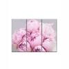 Truss Pink Grey Pieces Peonies Floral Canvas Wall Canvas Wall Prints Set of 3 Multicolor Matte
