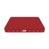Resteria Bio Foam Coir Mattress
