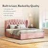 Holmebrook Engineered Wood Queen Size Drawer Storage Upholstered Bed in Desert Rose Colour