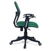 Aaeroa Low Back Ergonomic Chair in Dark Green Colour