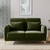 Monly Velvet 2 Seater Sofa Olive Green Color