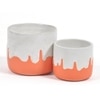 Playful Orange Concrete Planters -Set of 2