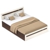 BLUEWUD Pollo Engineered Wood Queen Size Double Bed with Storage Box for Bedroom Home Furniture (Wenge & White)