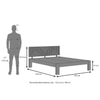 Kuba Solid Wood Queen Size Bed Without Storage (Teak Finish)