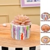 Sucullent Artificial Plant With Vertical Multicolored Stripes Along With Pot