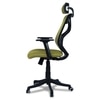 Zeeazyana High Back Ergonomic Chair in Pearl Green Colour