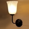 Devansh Metal Electric Wall Light in black Colour with White Shade Count of 1 Light