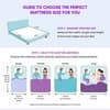 Ortho Pocket Spring Mattress