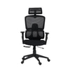 Falcon High Back Mesh Office Chair in Black Colour