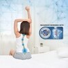 Bone Zone with Rebotech Tech  Mattress (72 x 42 in, 8 Inches)