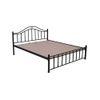 Morris Metal Queen Size Non Storage Bed In Black Finish