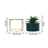 Aloe Vera Plant In Green Ceramic Pot With A Metal Stand