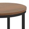 Delphine Solid Wood Side Table in Amber Walnut Finish