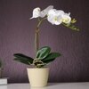 Beige 1 Pieces Orchid Artificial Plant With Pot