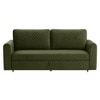 Baruna 3 Seater Velvet Pull Out Sofa Cum Bed with Storage In Green Color