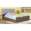 Sutra Bed With Premium Leatherette Fabric And Box Storage Queen Bed