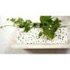 Catrice White Marble Planter
