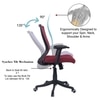 Ebeaony Mid Back Ergonomic Chair in Maroon Colour