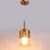 Eliante Hanging Light, Champaign Glass Shade, Mild Steel, 1 Bulb - Modern Pendant Lamp For Home Decor