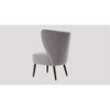 Fitz Accent chair Velvet in Grey Color